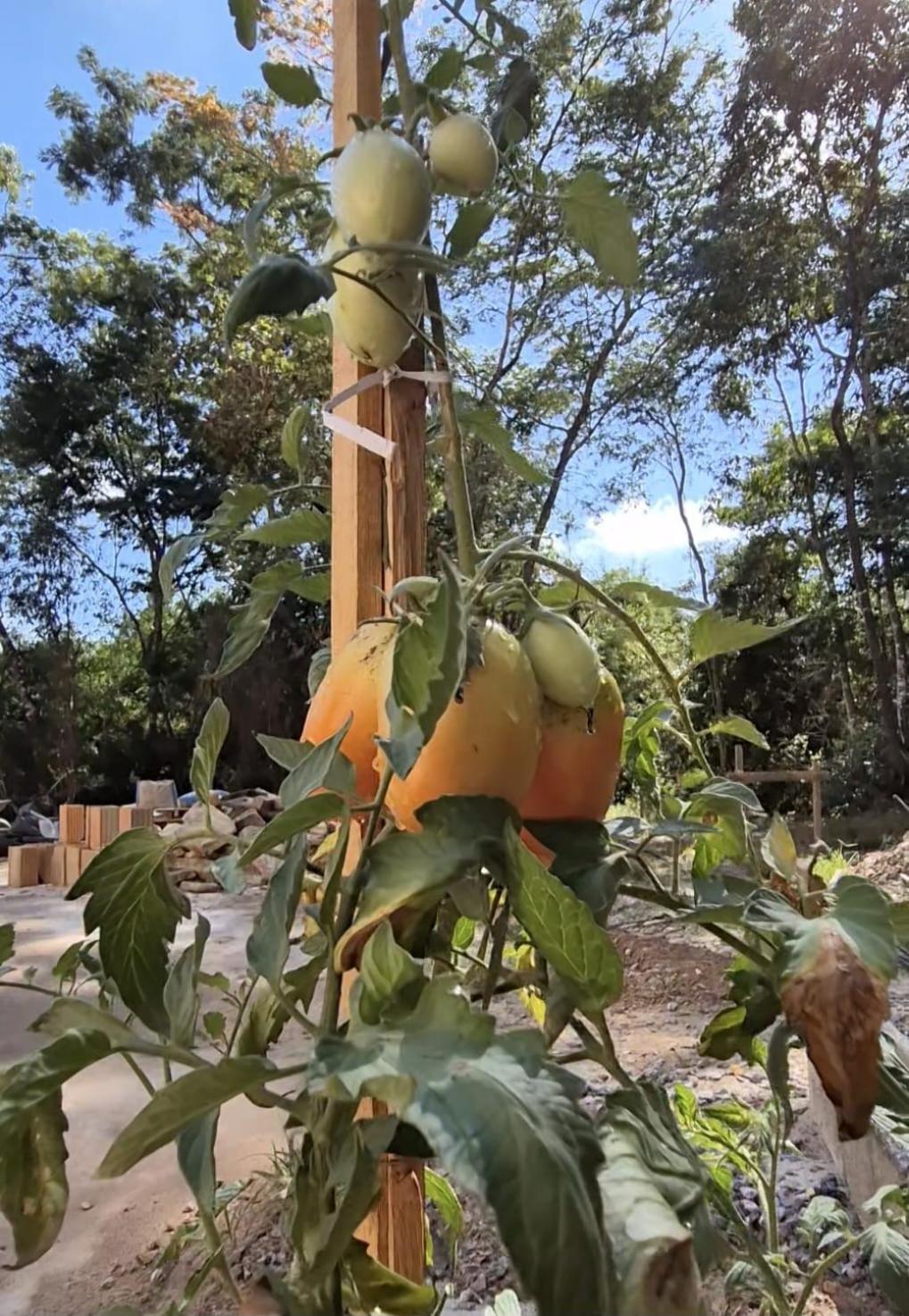 Pousada Verde Villas Brumadinho Exterior foto